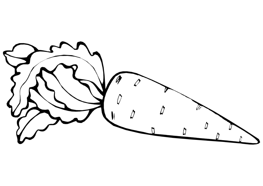 Coloring page Carrot for kids Print